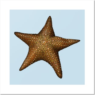 Starfish Posters and Art